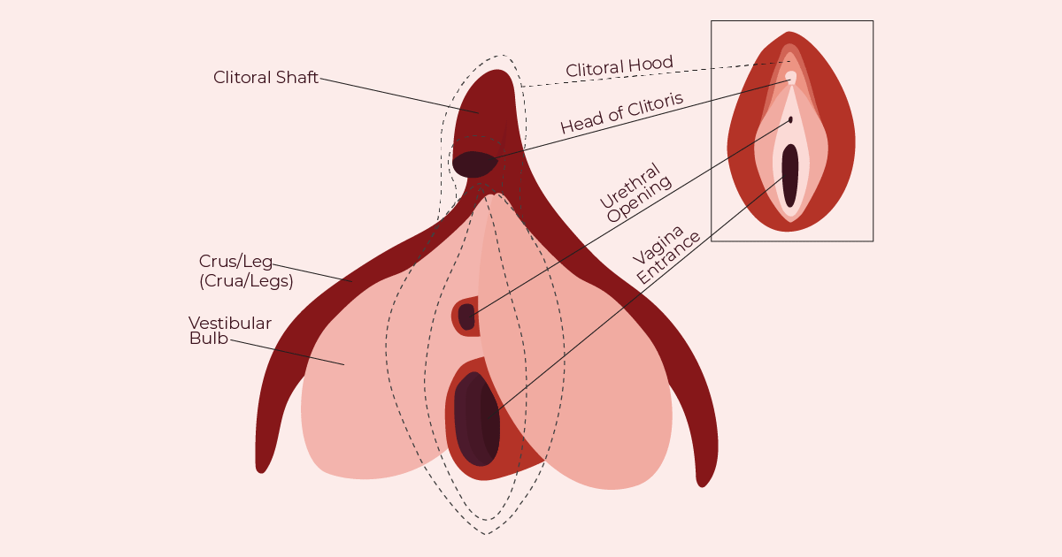 How To Lick A Clit