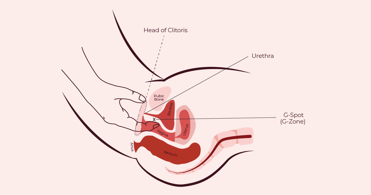 How To Lick Her Pussy