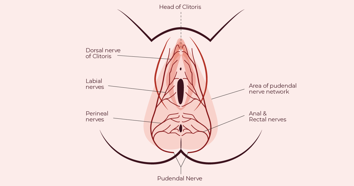 How To Lick Out A Girl